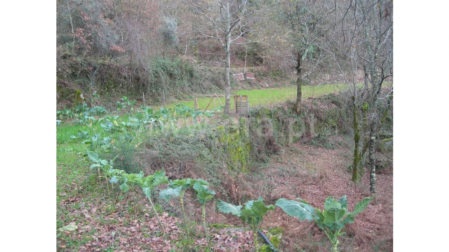 Quinta para Venda em Teixugueiras Foto 5