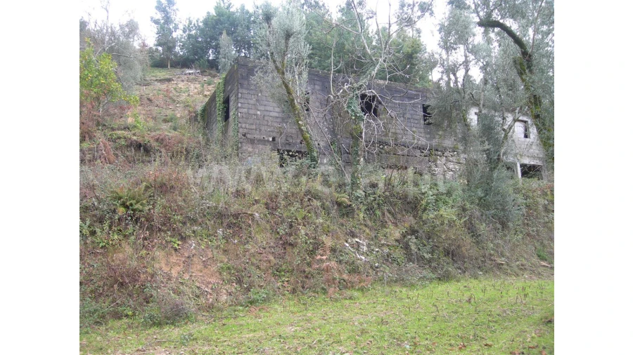 Quinta para Venda em Teixugueiras Foto 1