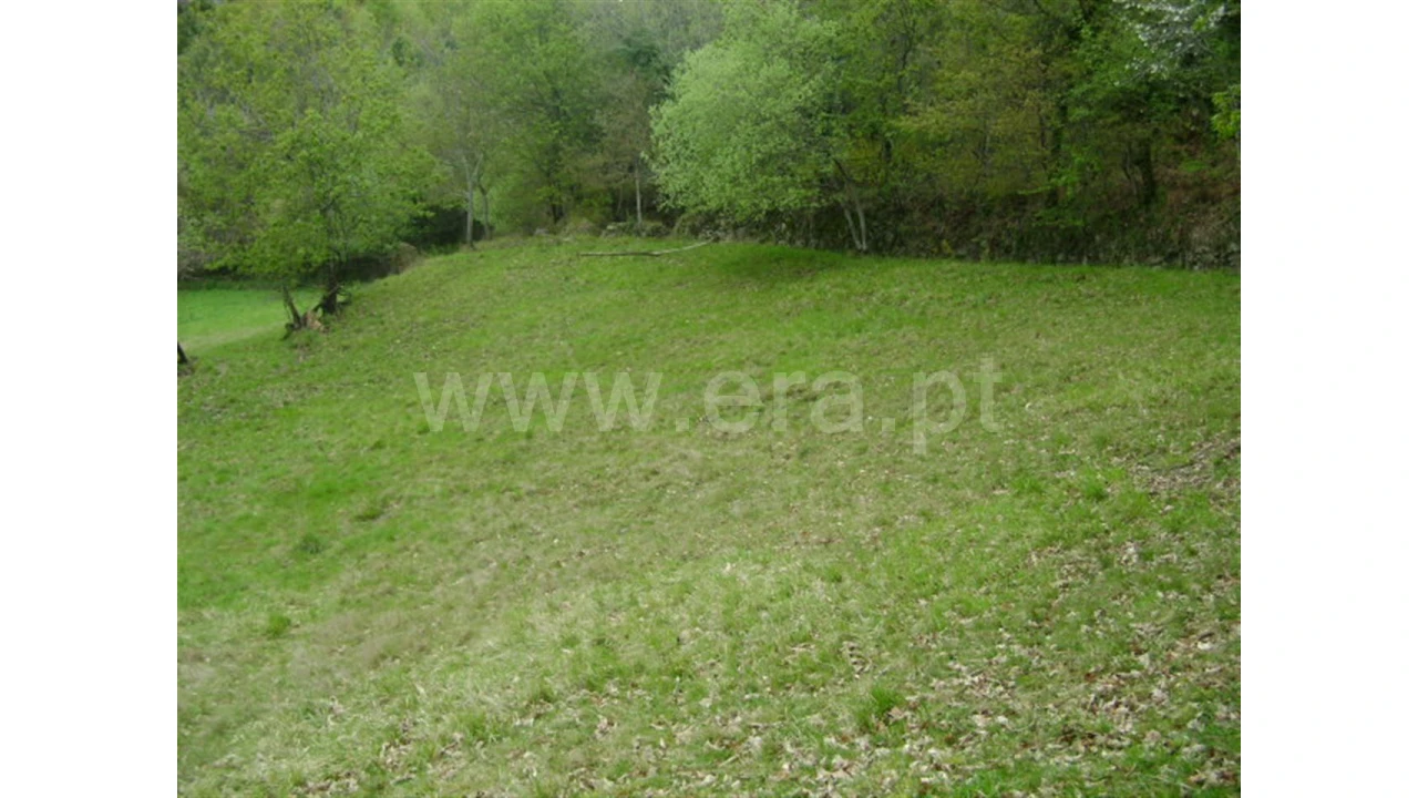 Quinta para Venda em Anjos Foto 4