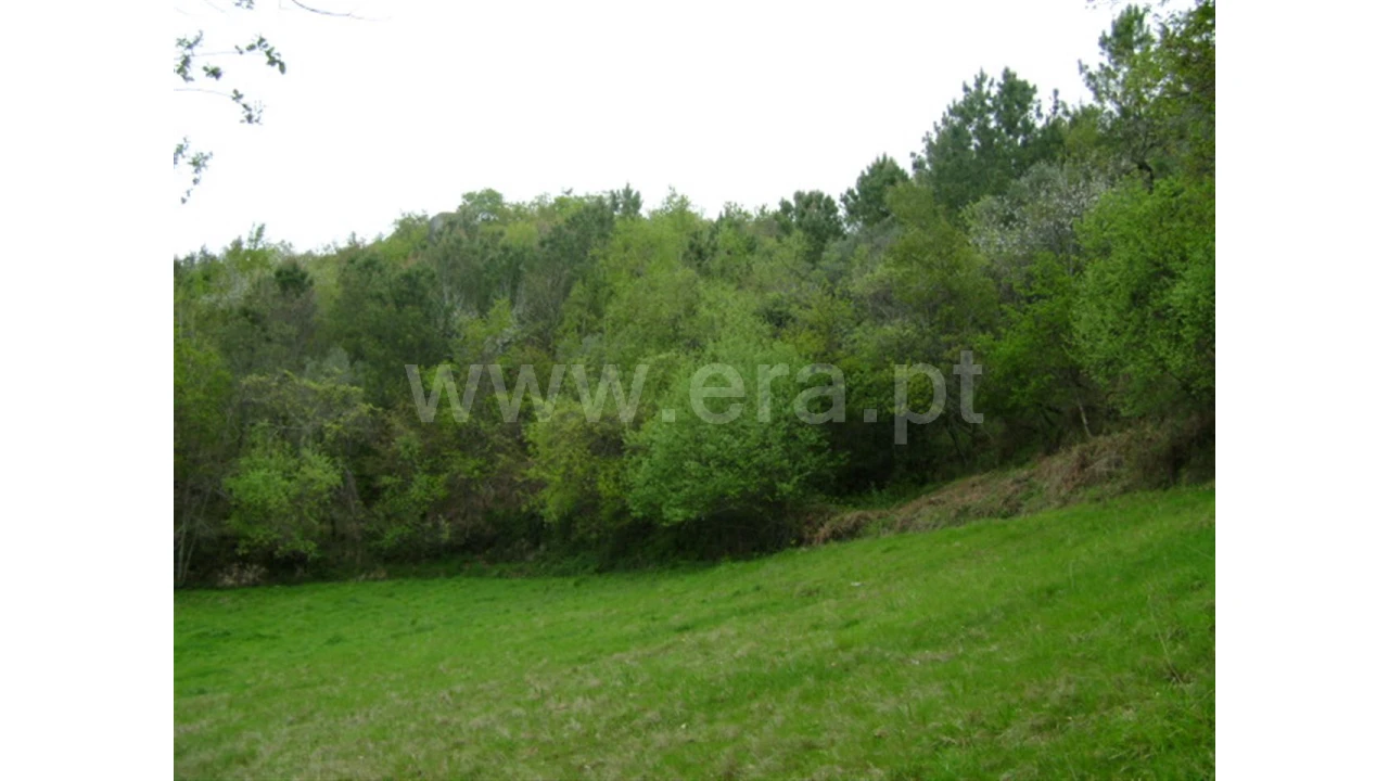 Quinta para Venda em Anjos Foto 6