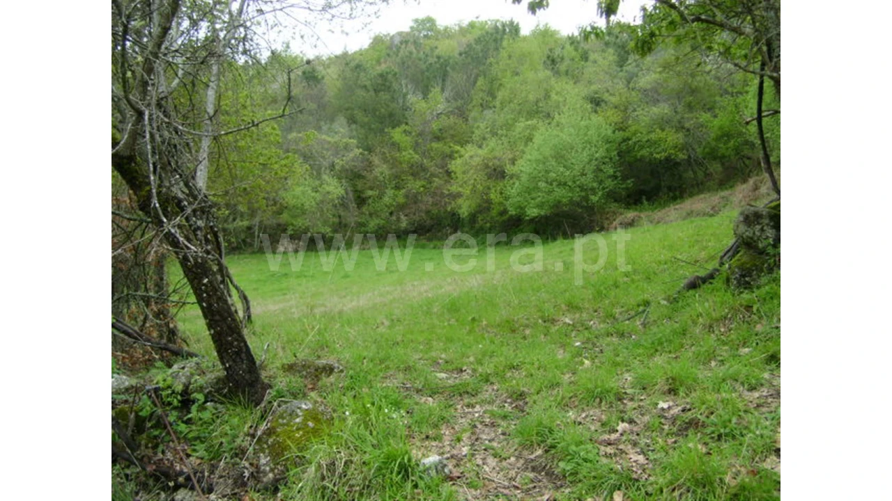 Quinta para Venda em Anjos Foto 9