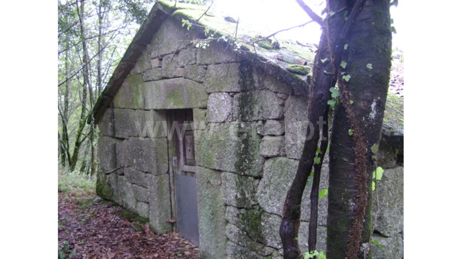 Quinta para Venda em Anjos Foto 3