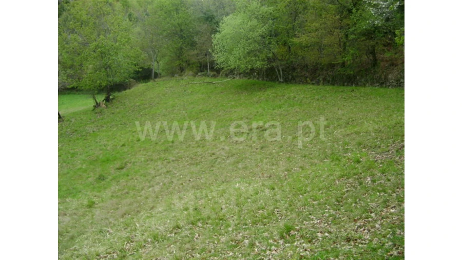 Quinta para Venda em Anjos Foto 4