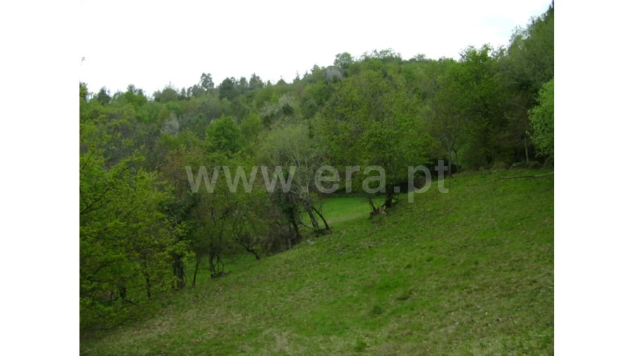 Quinta para Venda em Anjos Foto 5