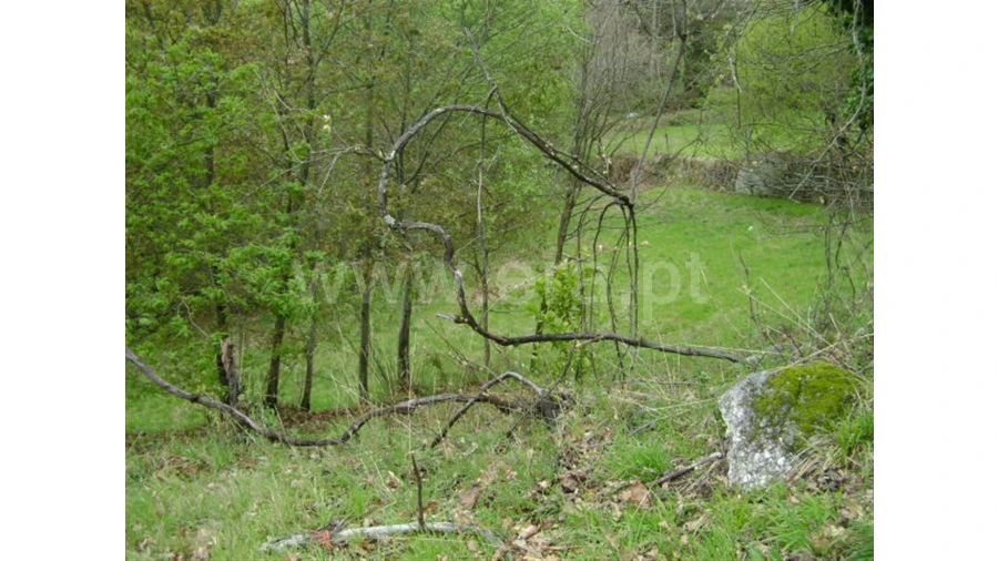 Quinta para Venda em Anjos Foto 7