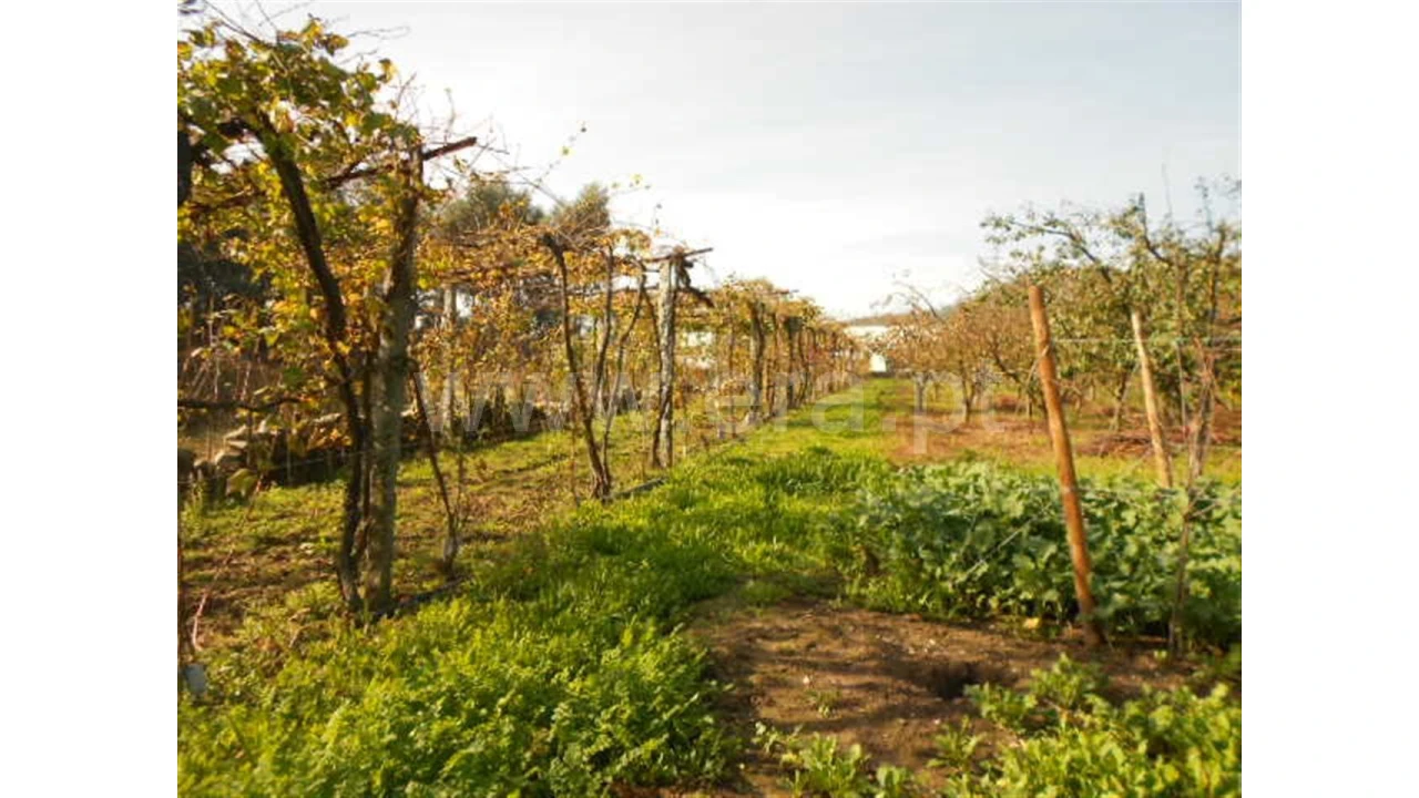 Terreno para Venda em Briteiros São Salvador Foto 7