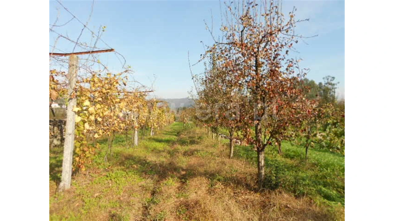 Terreno para Venda em Briteiros São Salvador Foto 15
