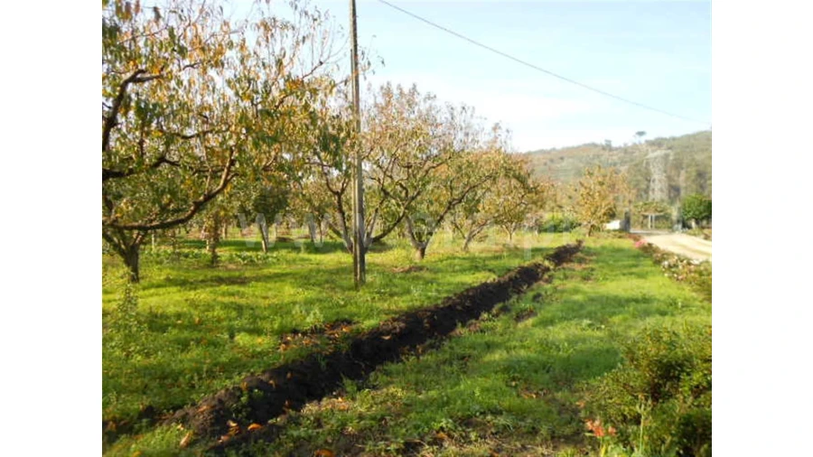 Terreno para Venda em Briteiros São Salvador Foto 2