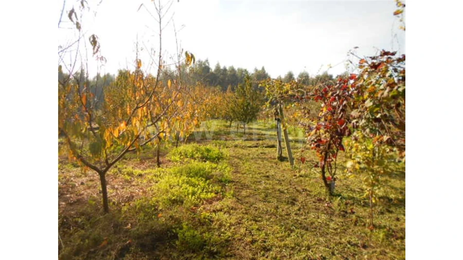 Terreno para Venda em Briteiros São Salvador Foto 5