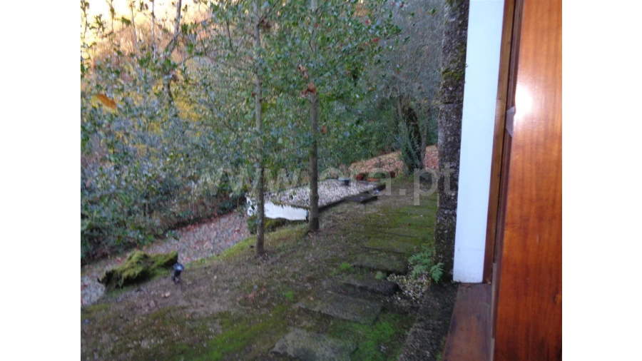 Moradia T3 para Venda em Caniçada Foto 23