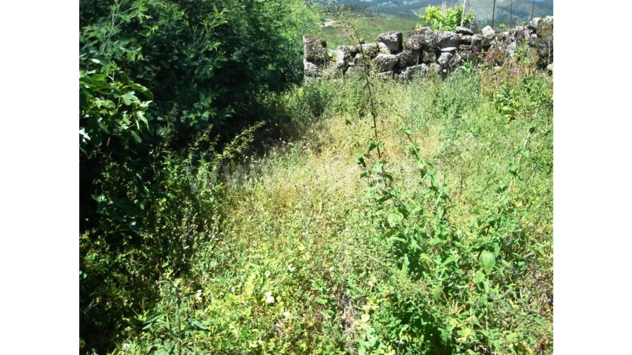 Terreno para Venda em Sobradelo da Goma Foto 7