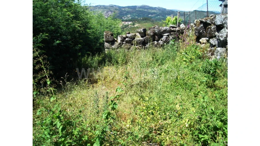 Terreno para Venda em Sobradelo da Goma Foto 10