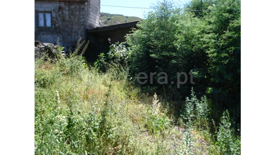 Terreno para Venda em Sobradelo da Goma Foto 9