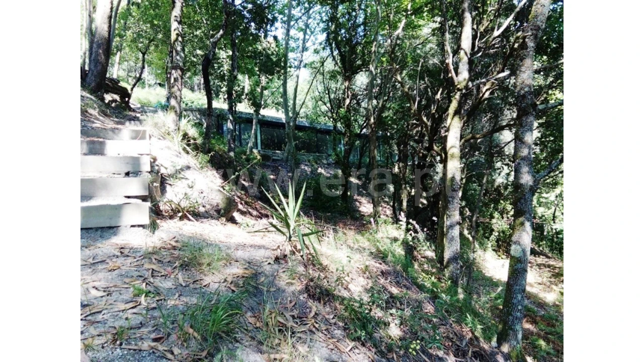 Moradia T3 para Venda em Caniçada Foto 4