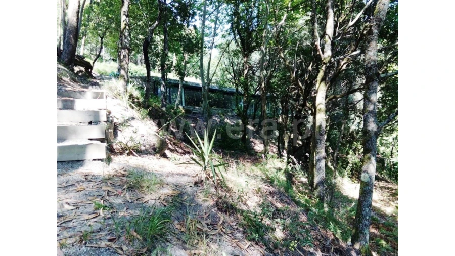 Moradia T3 para Venda em Caniçada Foto 4