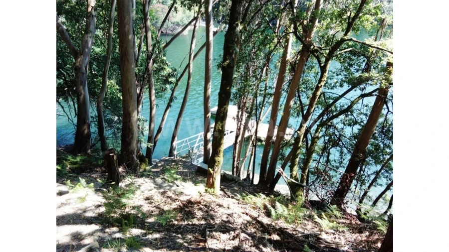 Moradia T3 para Venda em Caniçada Foto 6