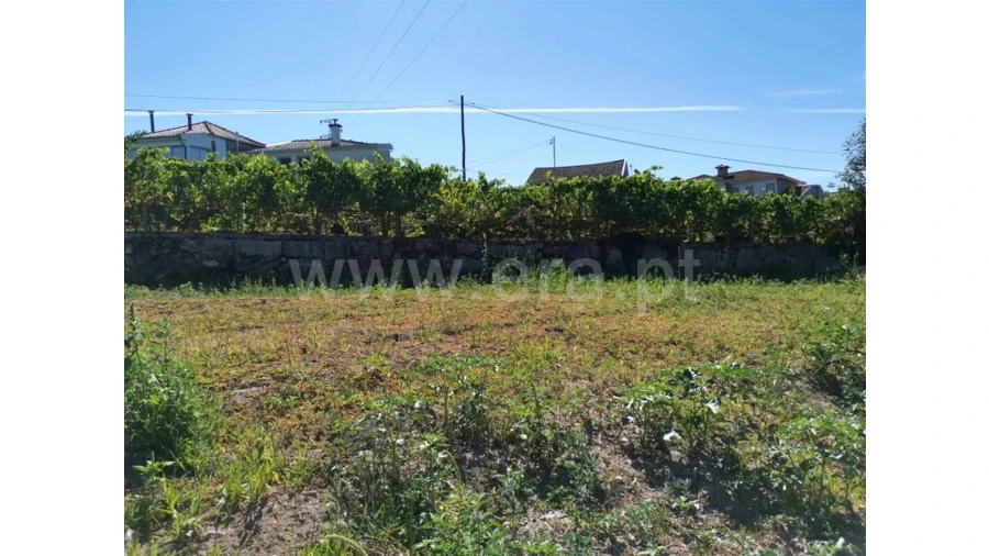 Terreno para Venda em Caldas das Taipas Foto 3