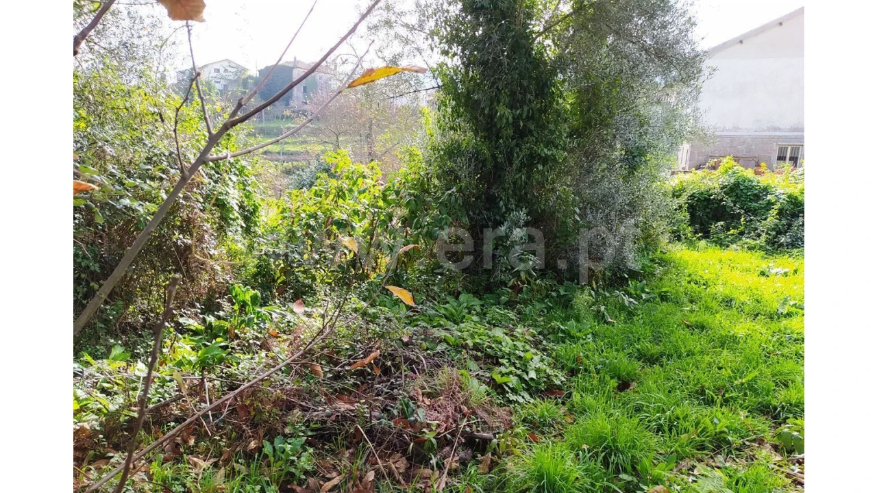 Terreno para Venda em Assento Foto 2
