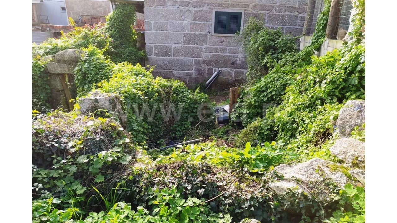 Terreno para Venda em Assento Foto 5