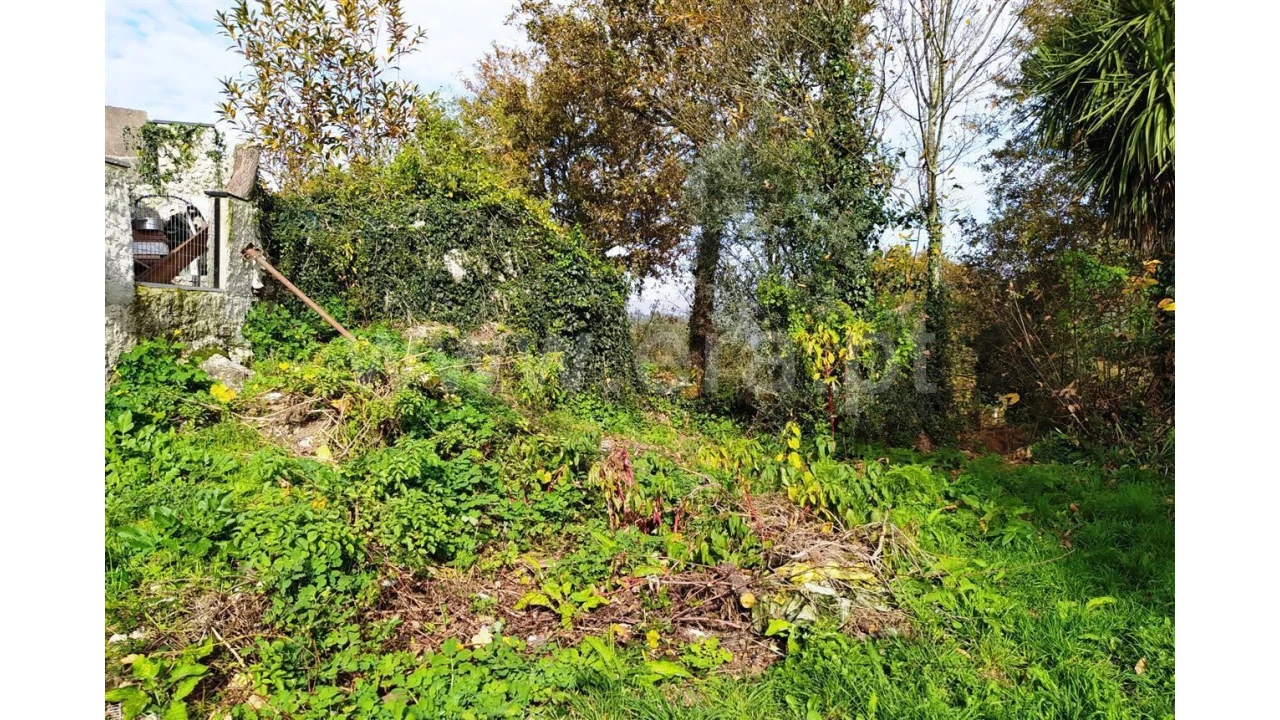 Terreno para Venda em Assento Foto 6