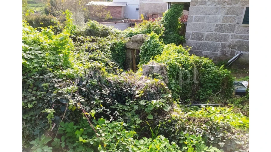 Terreno para Venda em Assento Foto 4