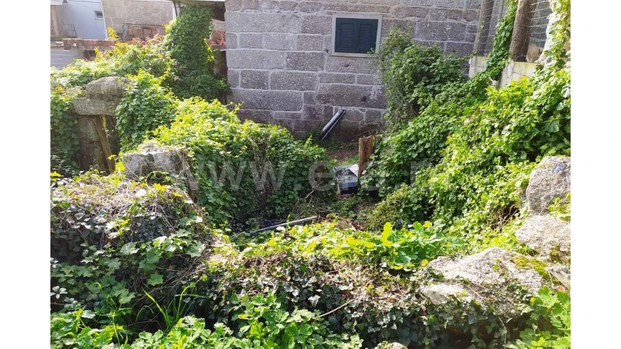 Terreno para Venda em Assento Foto 5