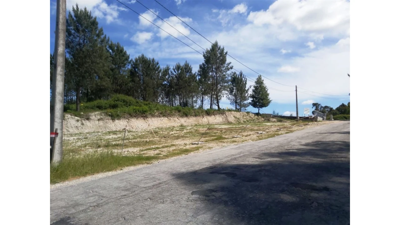 Terreno para Venda em Lanhoso Foto 8