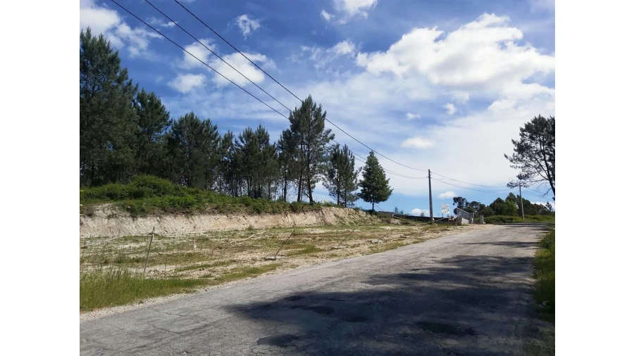 Terreno para Venda em Lanhoso Foto 9