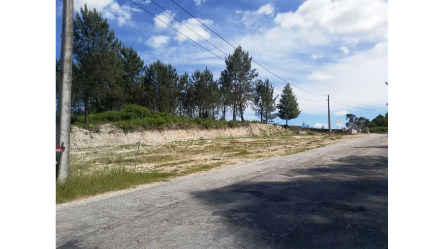 Terreno para Venda em Lanhoso Foto 8