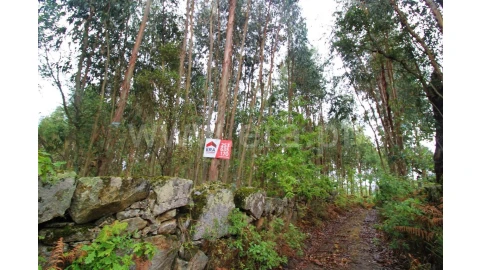 Terreno para Venda em Águas Santas