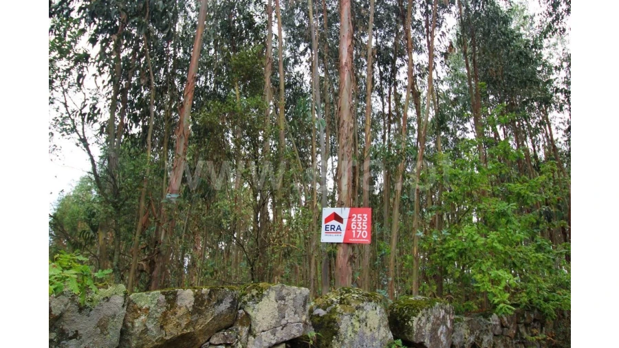 Terreno para Venda em Águas Santas Foto 2