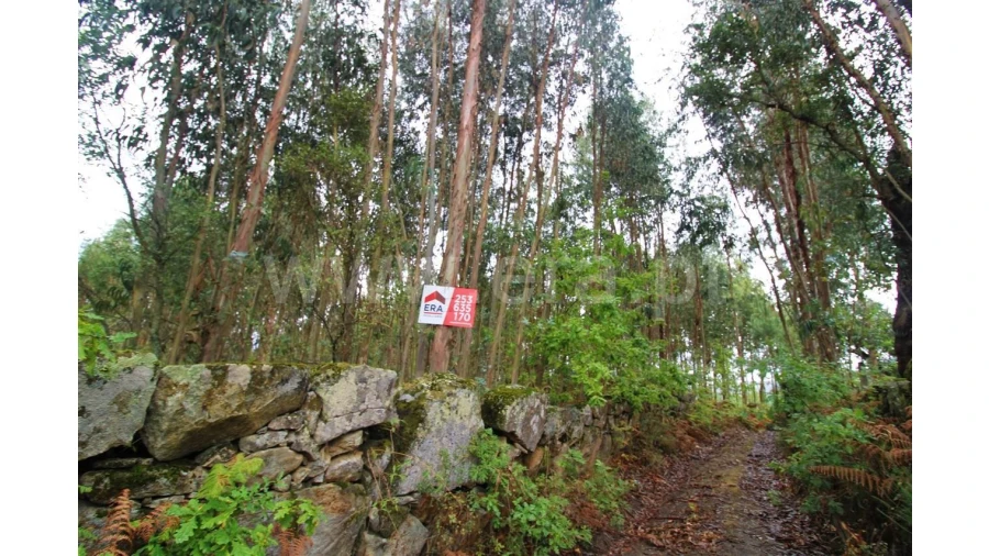 Terreno para Venda em Águas Santas Foto 5