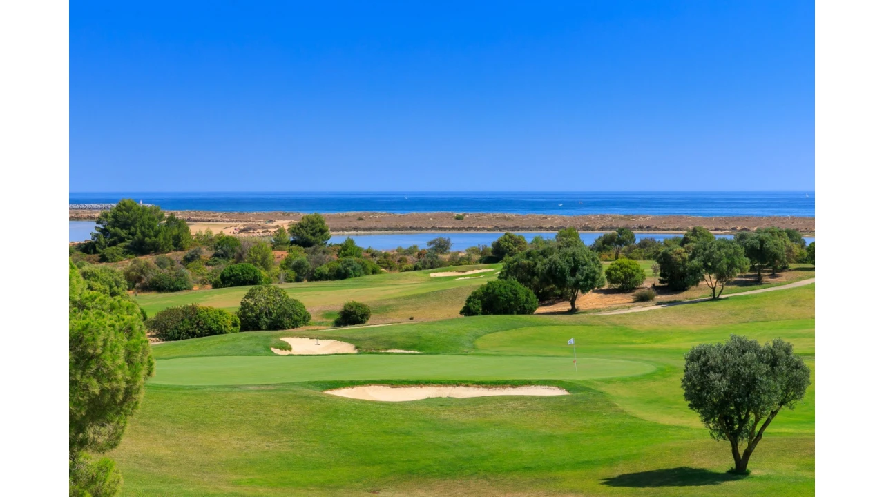 Terreno P/ Prédio para Venda em Palmares Foto 4
