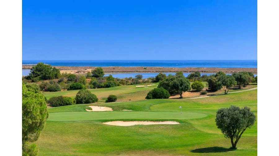 Terreno P/ Prédio para Venda em Palmares Foto 4