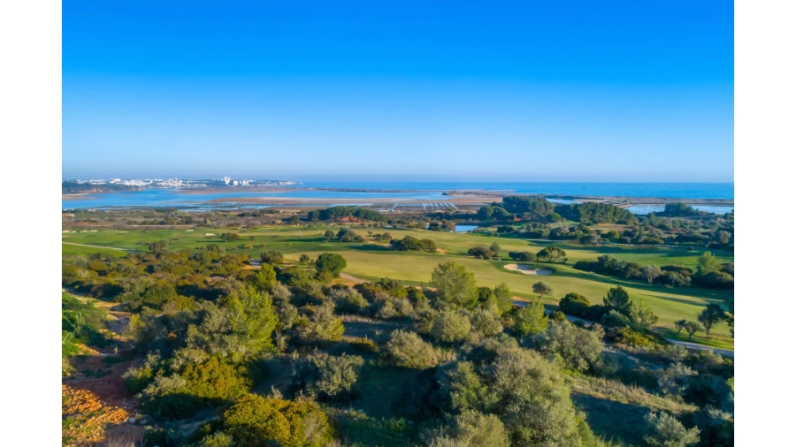 Terreno P/ Prédio para Venda em Palmares Foto 7