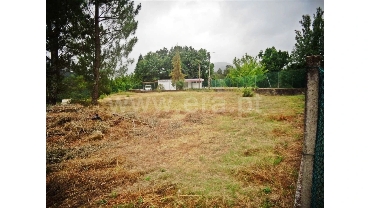 Terreno para Venda em Castelões Foto 2