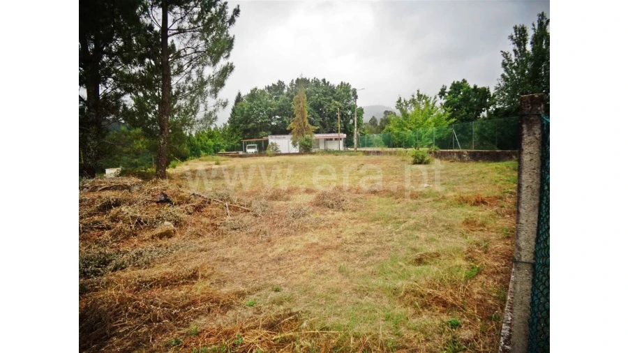 Terreno para Venda em Castelões Foto 2