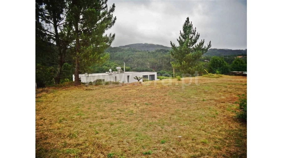 Terreno para Venda em Castelões Foto 3