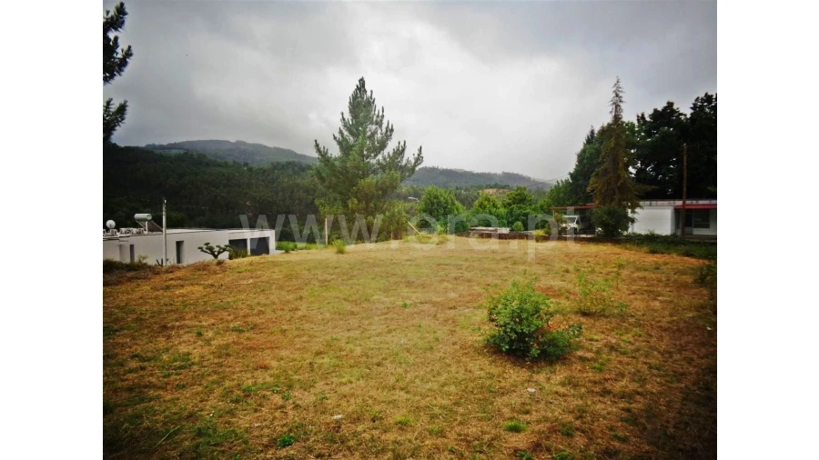 Terreno para Venda em Castelões Foto 4