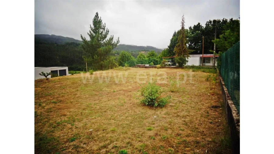 Terreno para Venda em Castelões Foto 5