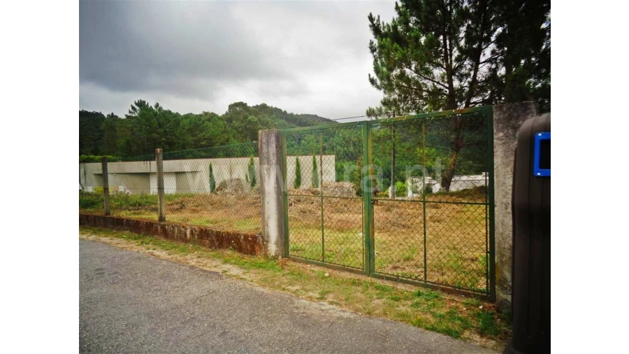 Terreno para Venda em Castelões Foto 6