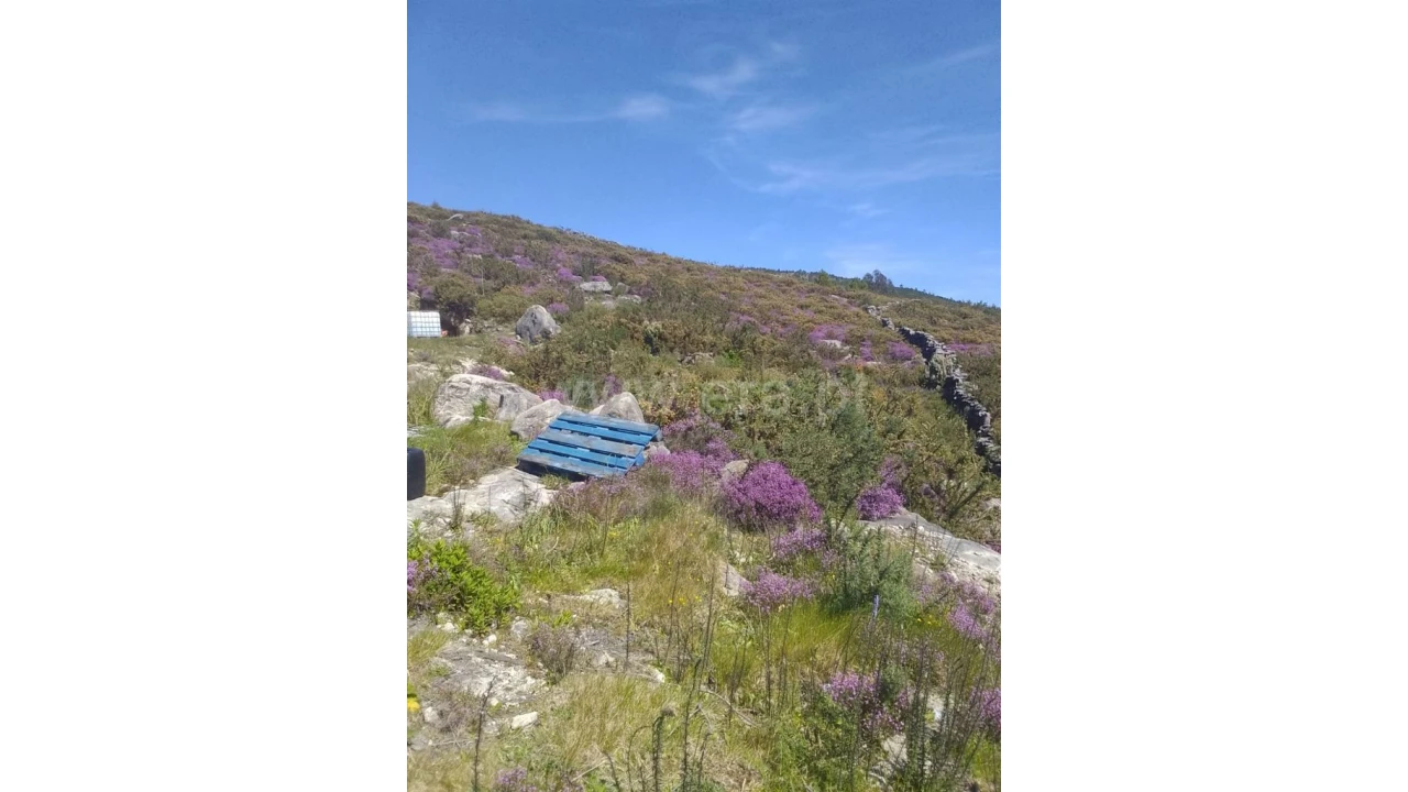 Terreno para Venda em Fundevila Foto 9