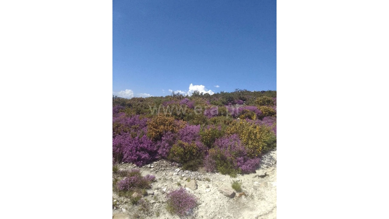 Terreno para Venda em Fundevila Foto 10