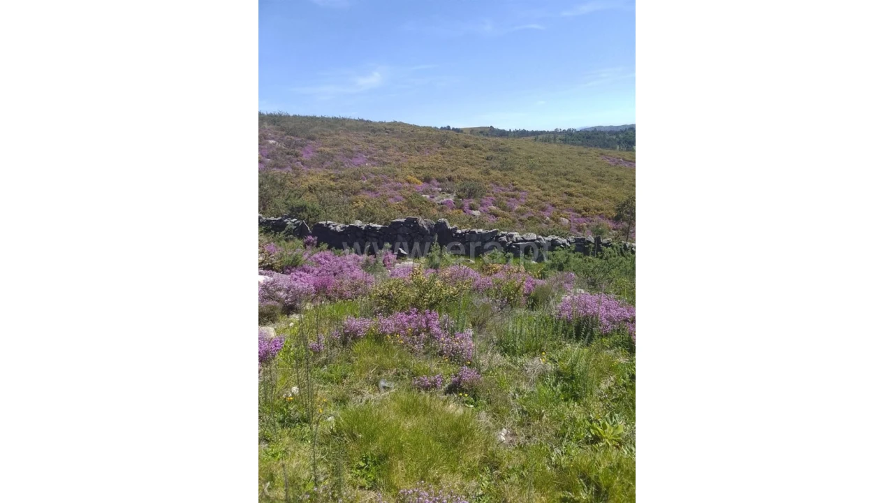 Terreno para Venda em Fundevila Foto 11