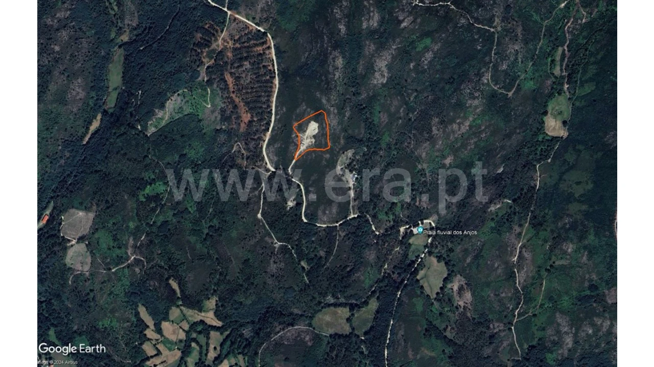 Terreno para Venda em Fundevila Foto 13