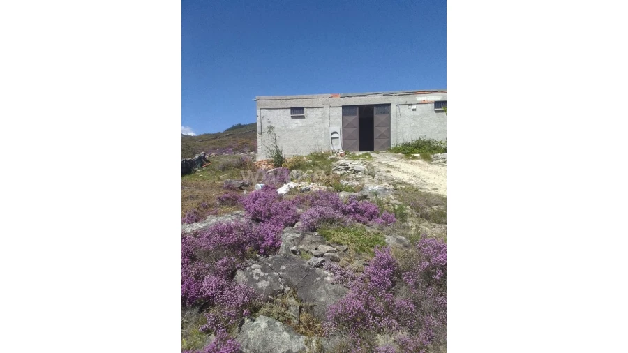 Terreno para Venda em Fundevila Foto 3