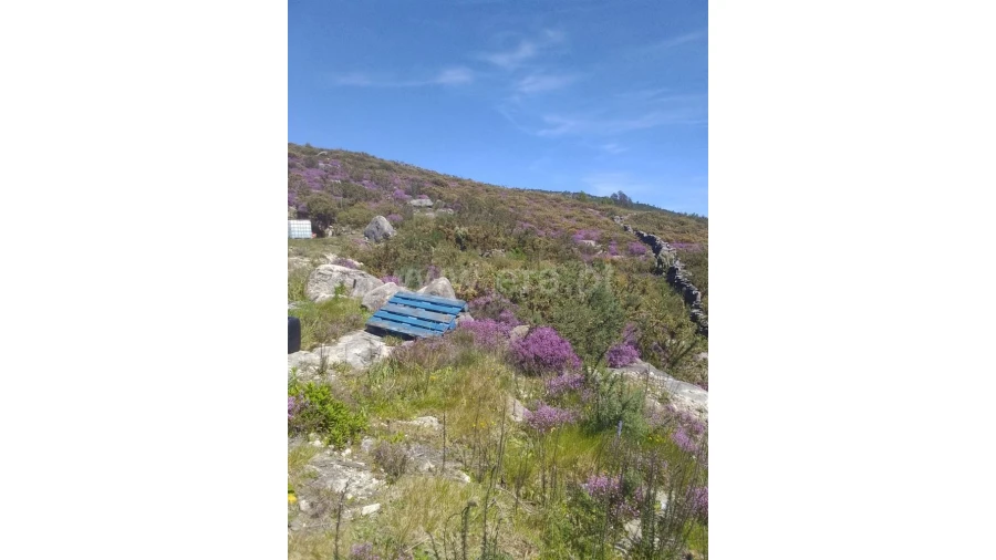 Terreno para Venda em Fundevila Foto 9