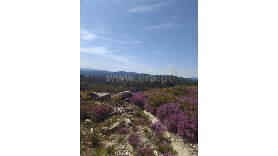 Terreno para Venda em Fundevila Foto 12