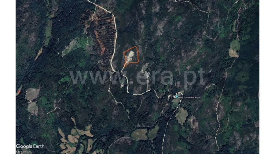 Terreno para Venda em Fundevila Foto 13