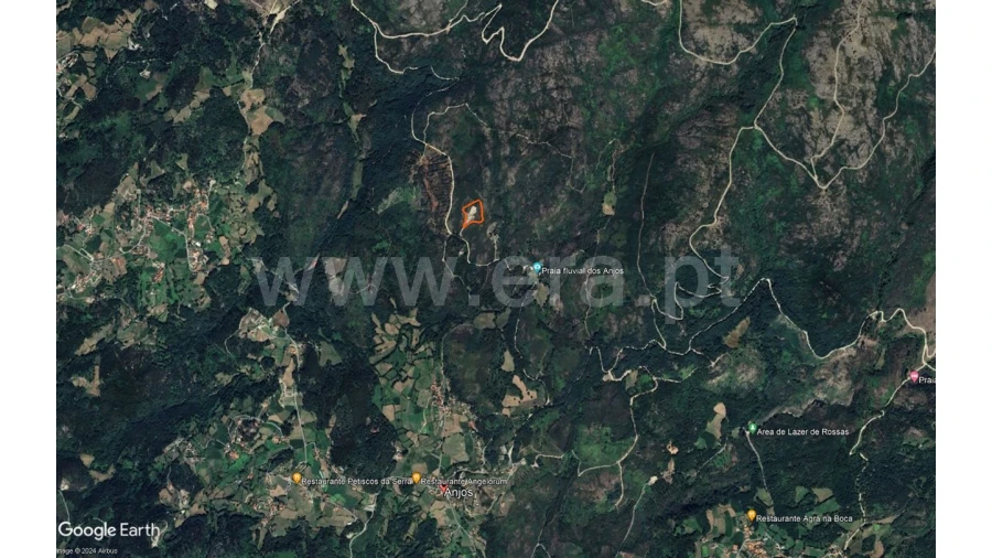 Terreno para Venda em Fundevila Foto 14